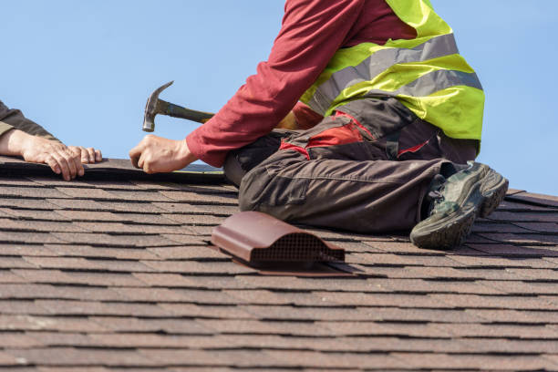 Best Roof Gutter Cleaning  in Hasson Heights, PA