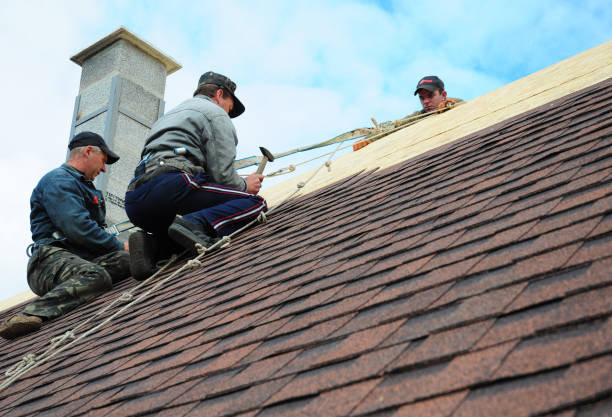 Best Commercial Roofing Services  in Hasson Heights, PA